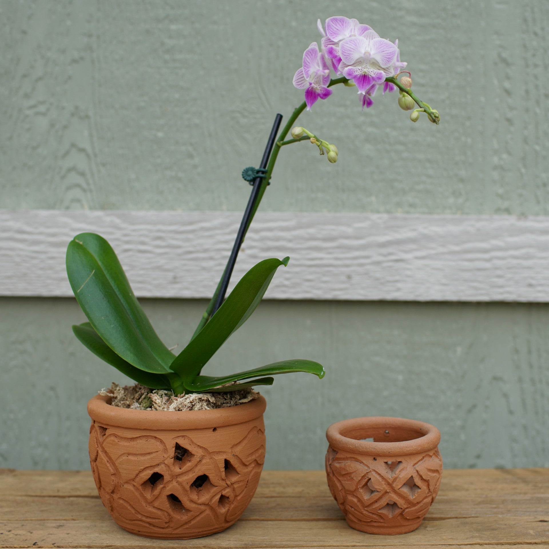 Artisan Planters