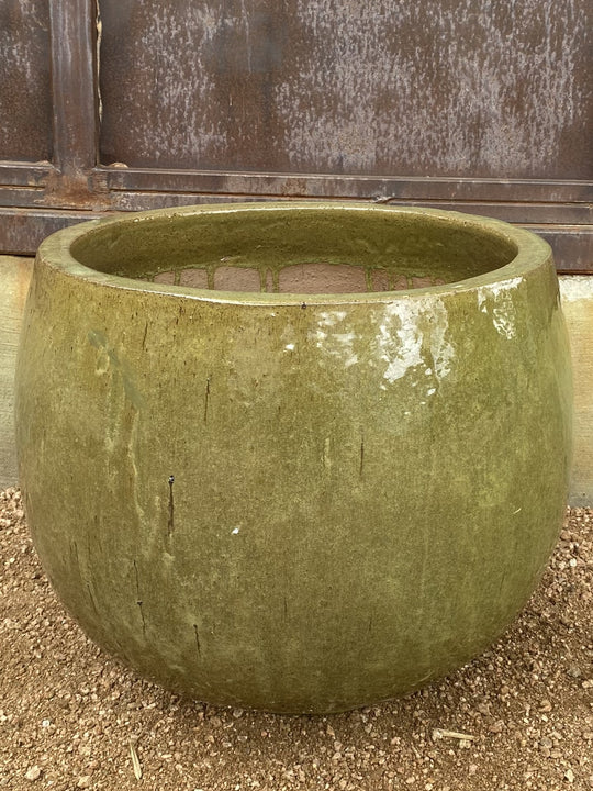 Wasabi ball planter