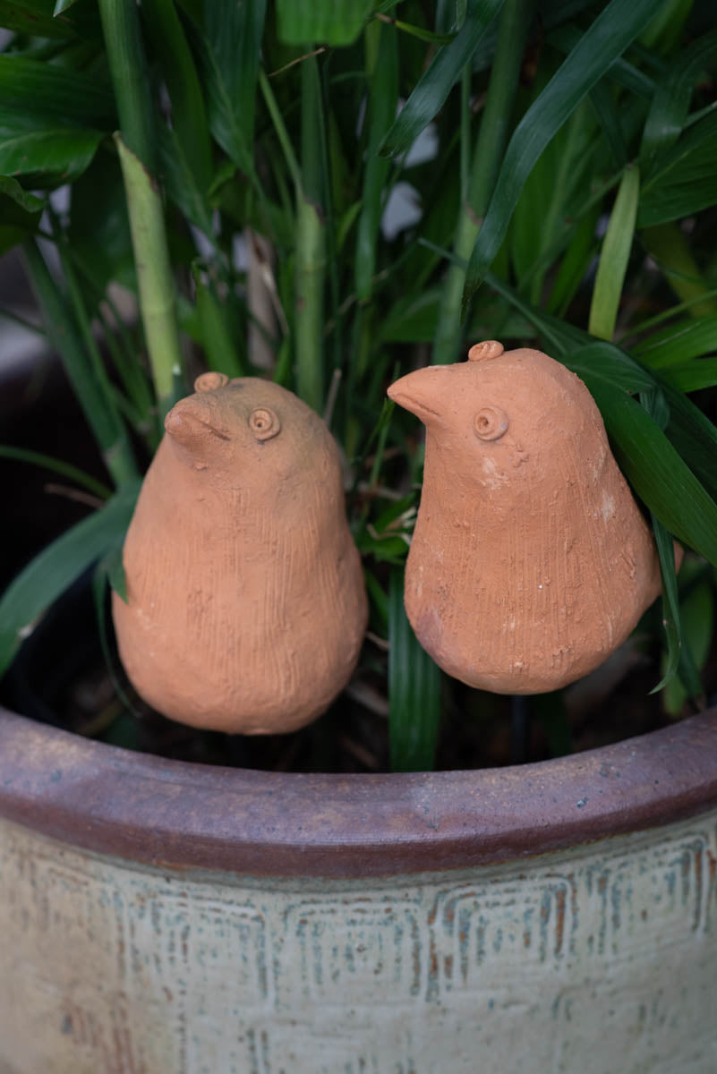 Dang Birds: 10 pcs./unit. Unit Price: $112.50 – Big Grass Living