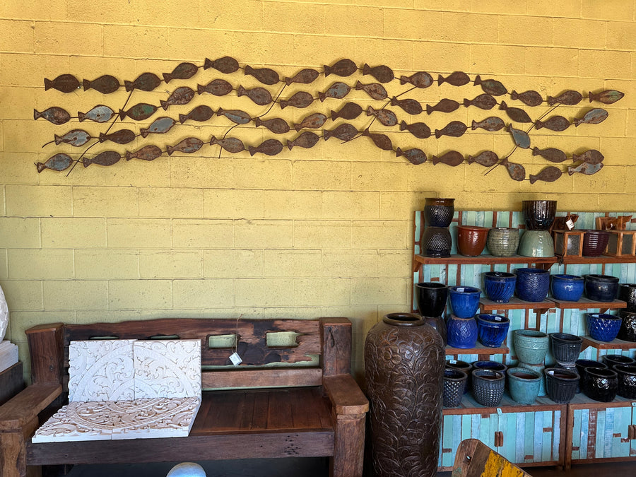 School of Fish