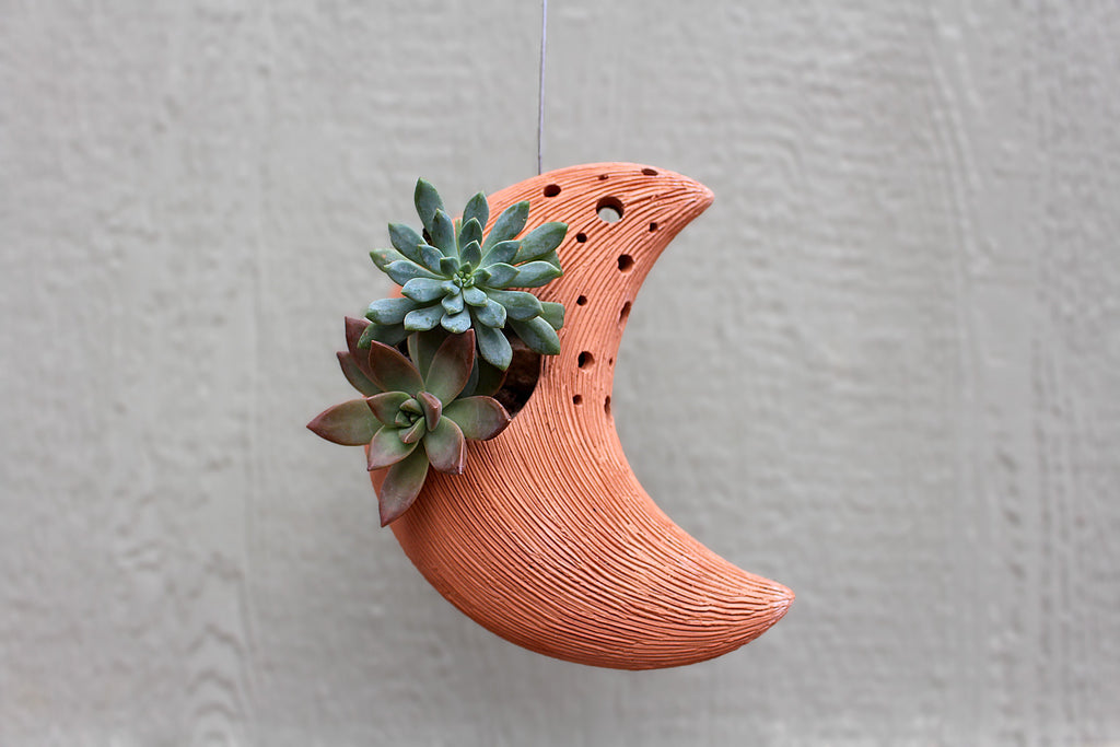 Terra Fina - Crescent Moon: 10 pcs./unit. Unit price: $140.00