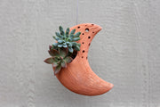 Terra Fina - Crescent Moon: 10 pcs./unit. Unit price: $143.20