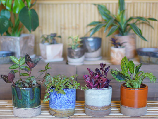 The Elemental -Smoke Gray Glazed Planter 10 pcs/unit. Unit Price $144.50
