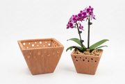 Terra Fina-Novo small: 10 pcs./unit. Unit Price: $128.50