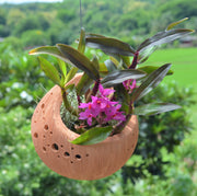 Terra Fina - Basket: 10 pcs./unit. Unit price: $129.00