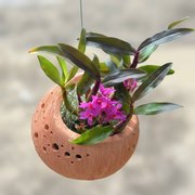 Terra Fina - Basket: 10 pcs./unit. Unit price: $129.00