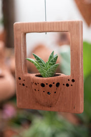 Terra Fina-Picture Perfect: 10 pcs./unit. Unit Price: $143.20