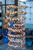 Dang bird cylinder structure