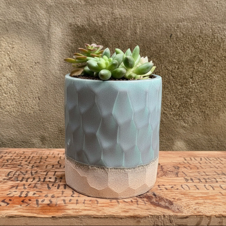 The Elemental - Dune Oasis Planter: 10 pcs/unit. Unit Price: $144.50