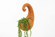Terra Fina - Gourd: 10 pcs./unit. Unit price: $143.00 Per piece $14.30