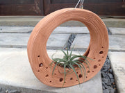 Terra Fina - Halo 10 pcs./unit. Unit Price: $141.50