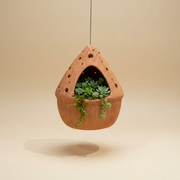 Terra Fina - Hut: 10 pcs./unit. Unit price: $162.40 Per piece $16.24
