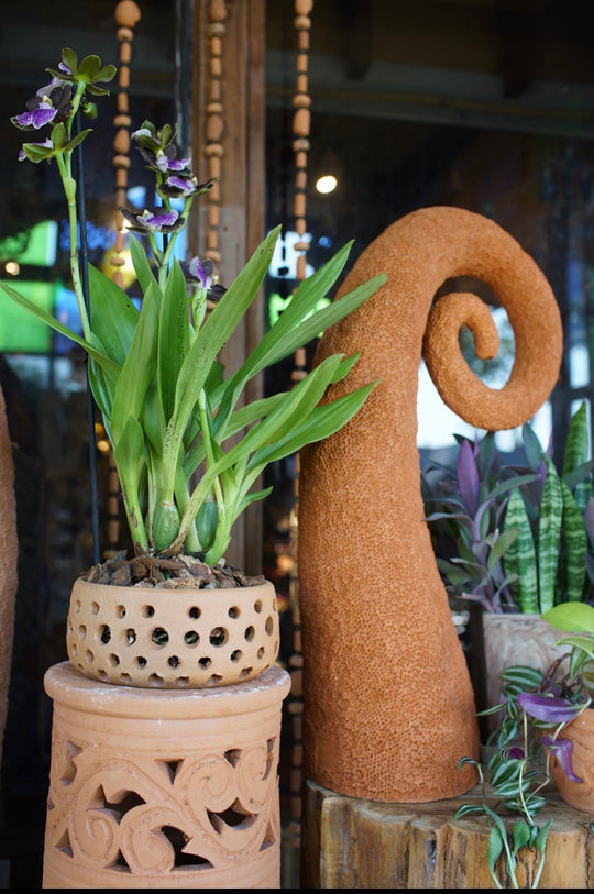 Artisan Orchid Bowl Planter 10 pcs/unit. Unit Price: $94.50