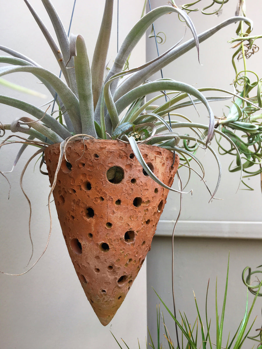 planter pot rh lascaux conical planter Cone Artisan Planter "Classic" Large: 10 pcs/unit. Unit price: $94.50 – Big Grass