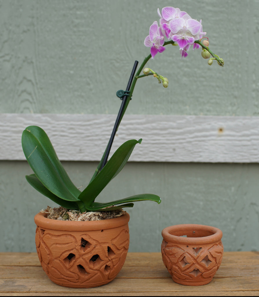 Artisan Ventanas Orchid Planter Small 10 pcs/unit. Unit Price: $42.00