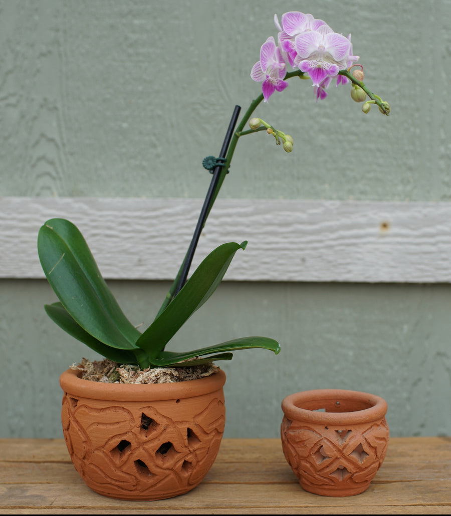 orchid planter pots Artisan Ventanas Orchid Planter Small 10 pcs/unit. Unit Price: $47.80 – Big Grass