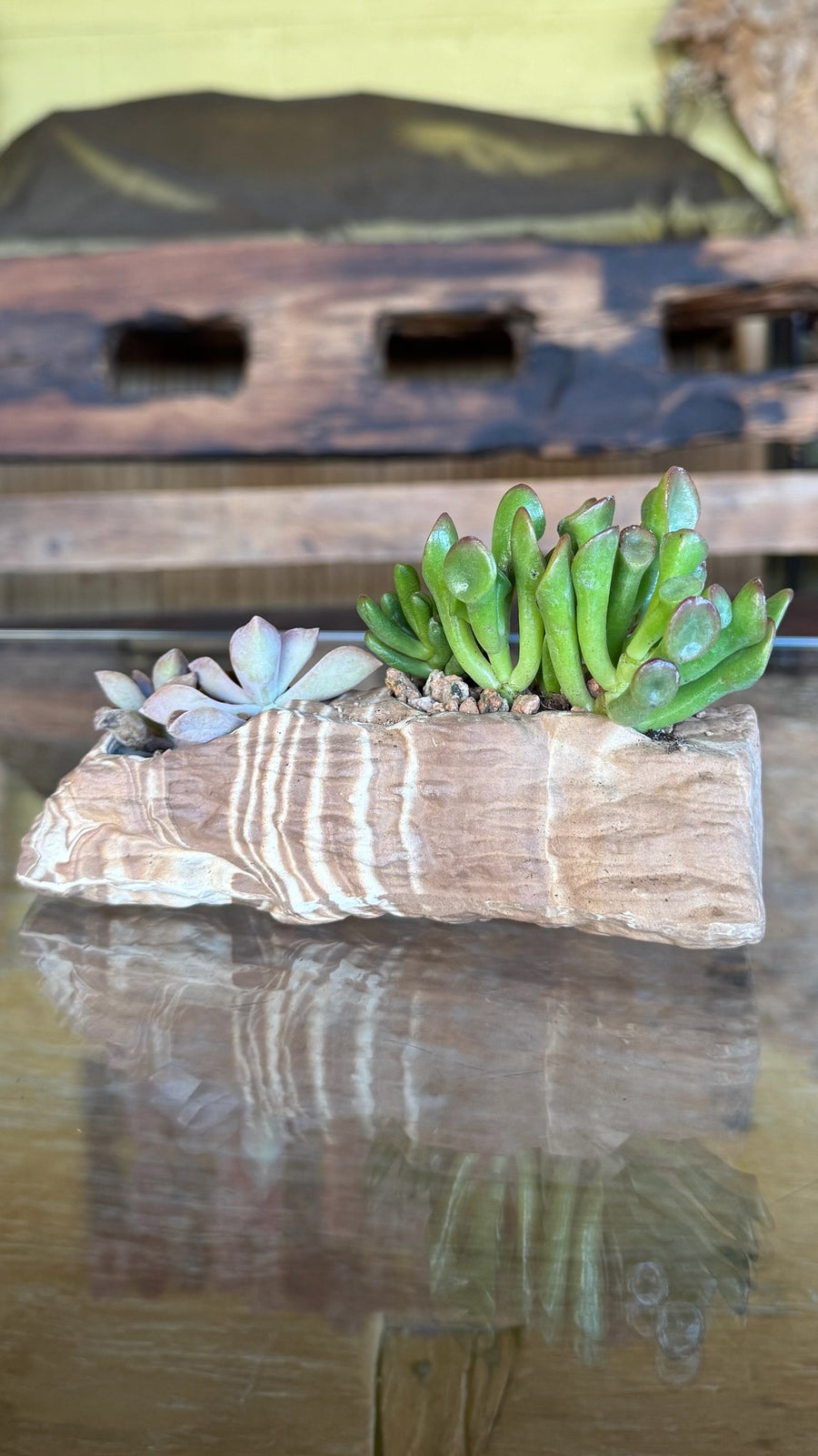 Mesa Plateau Planter 10 pcs/unit. Unit Price $122.50