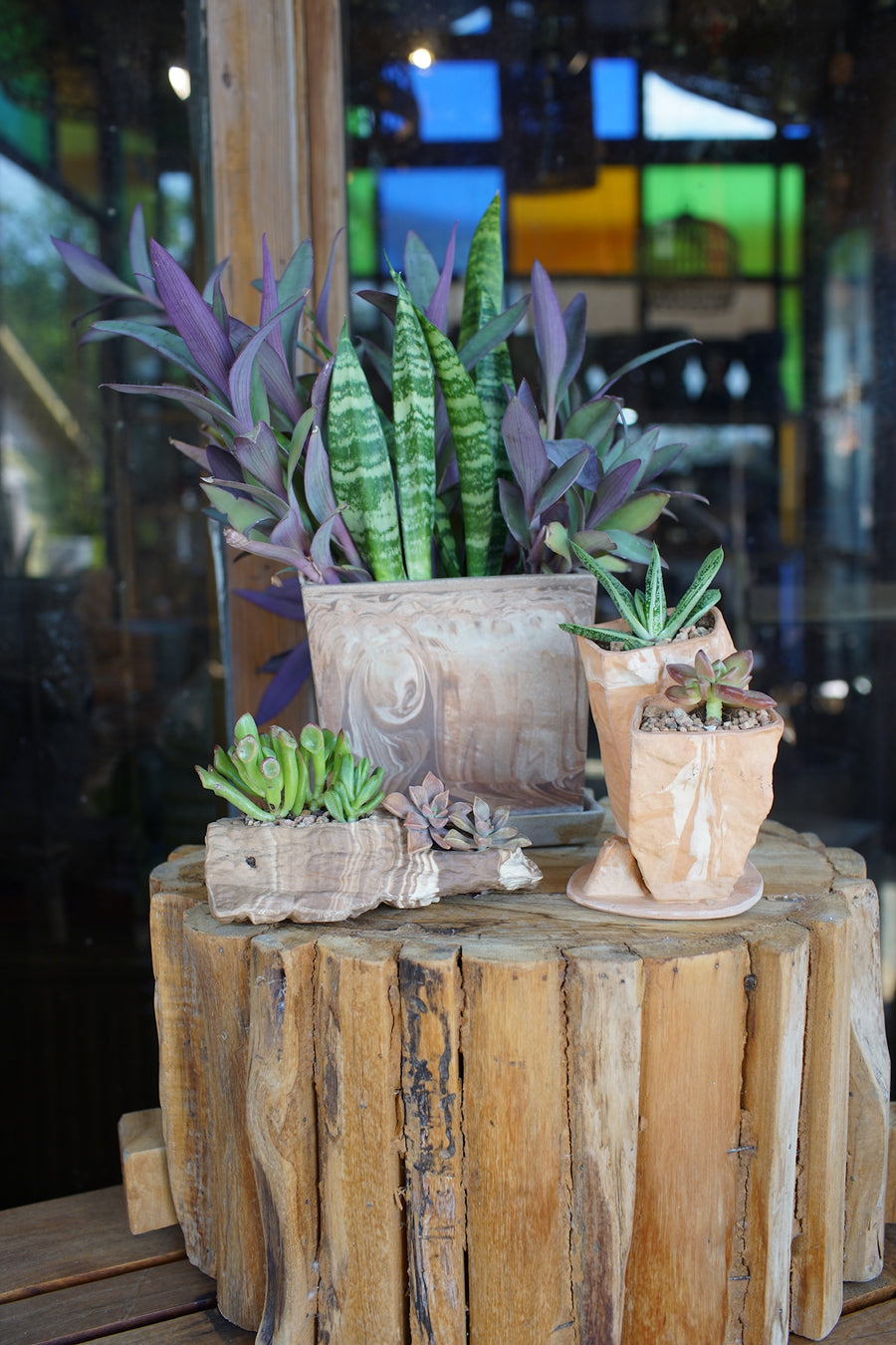 Mesa Plateau Planter 10 pcs/unit. Unit Price $122.50