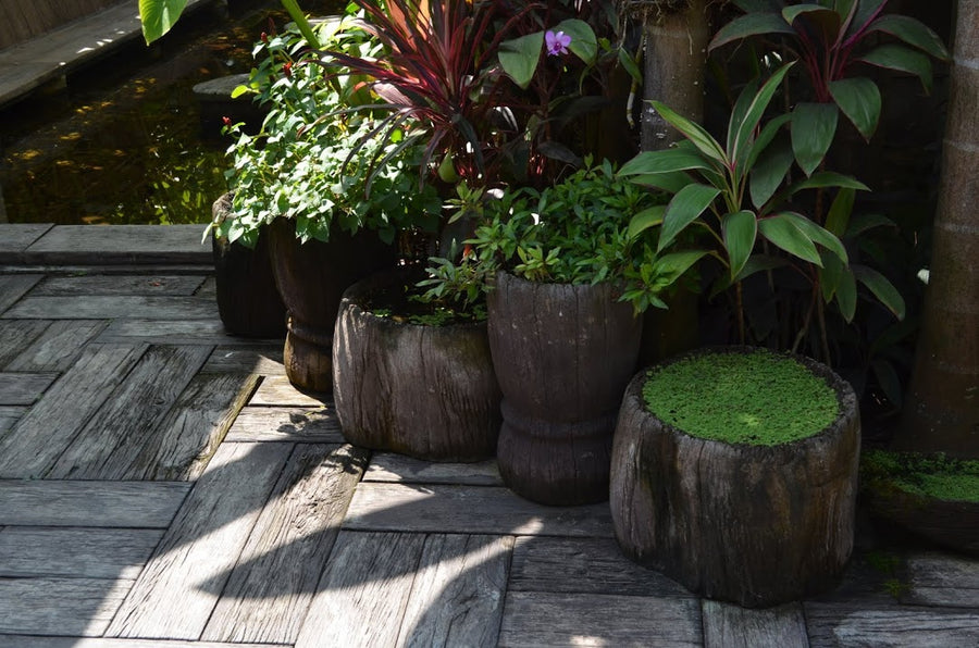Wood Grain Concrete Paver