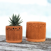 Terra Fina - Cosmos Small: 10 pcs./unit. Unit Price: $129.80