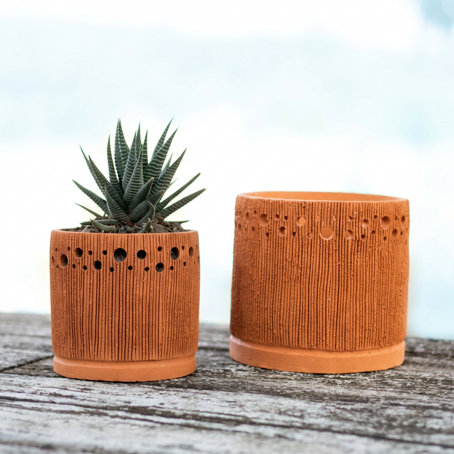 Terra Fina - Cosmos Small: 10 pcs./unit. Unit Price: $129.80