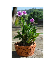 Tapered Artisan Planters Short: 10 pcs/unit. Unit Price: $52.00