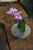 River Rock Planter
