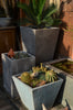 Slim Square Tapered Cement Planter