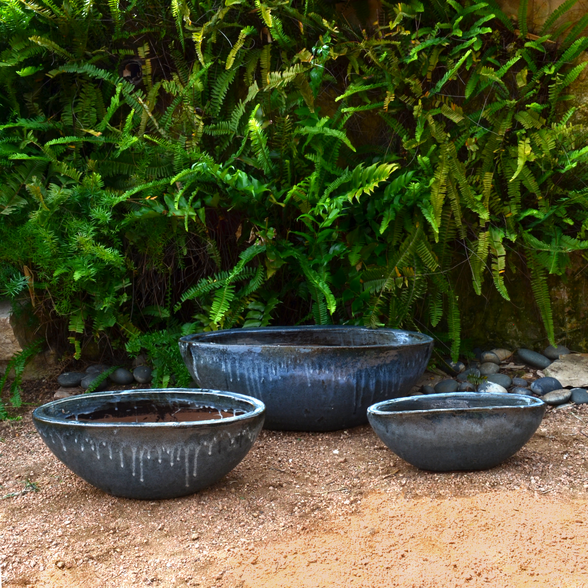 boat succulent Black Succulent Boat Planter – Big Grass